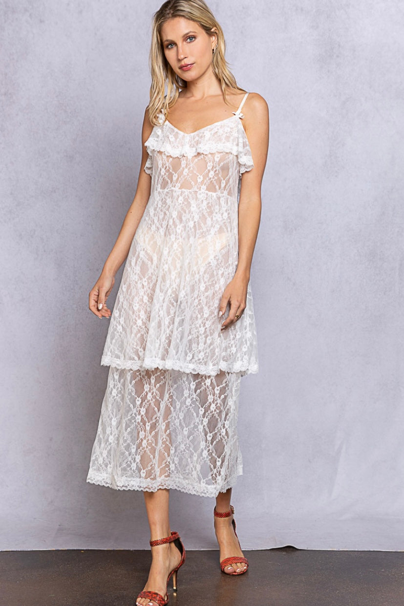 Sweet Nothings Sheer Lace Slip Dress