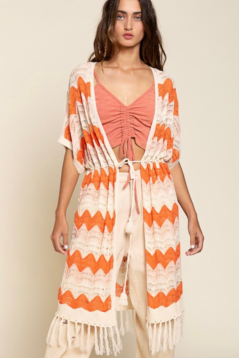 The Tropics Zig Zag Striped Crochet Beach Cardi with Fringe