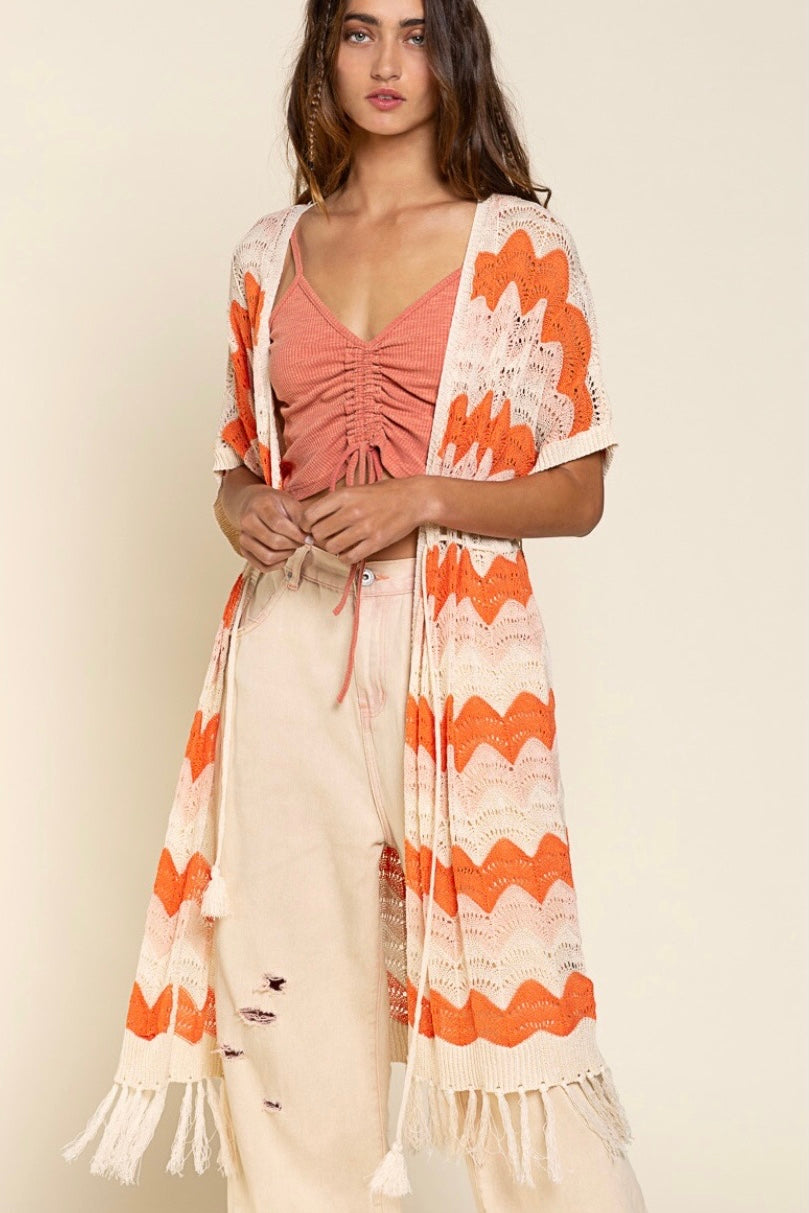 The Tropics Zig Zag Striped Crochet Beach Cardi with Fringe