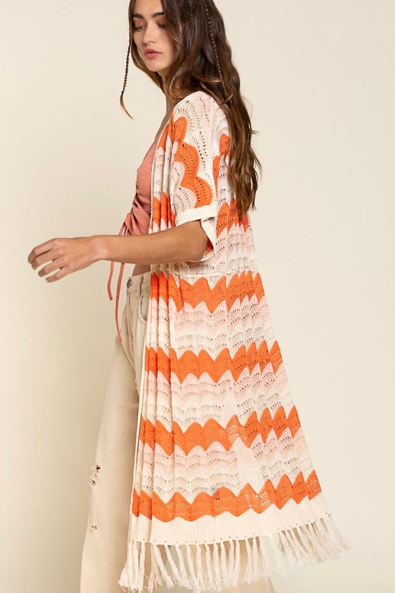 The Tropics Zig Zag Striped Crochet Beach Cardi with Fringe