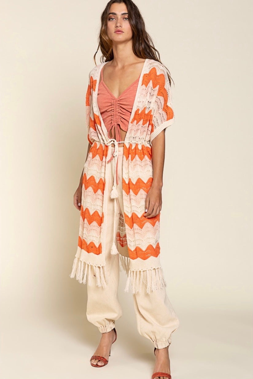 The Tropics Zig Zag Striped Crochet Beach Cardi with Fringe