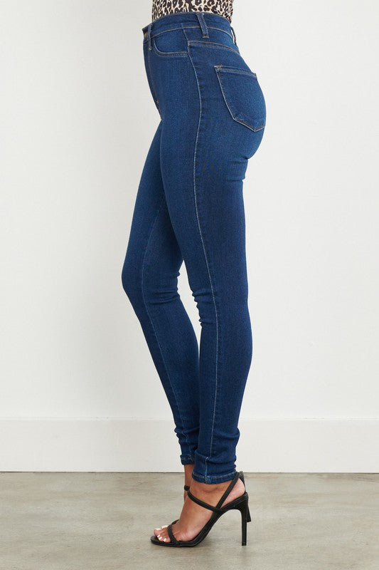 Nikki High Waisted Classic Skinny Jeans