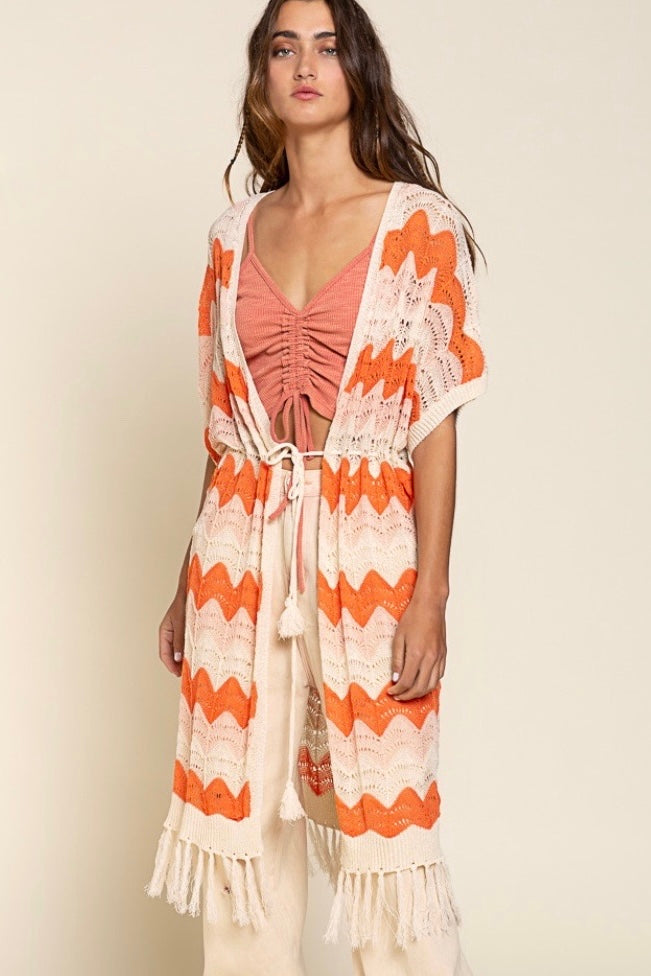 The Tropics Zig Zag Striped Crochet Beach Cardi with Fringe